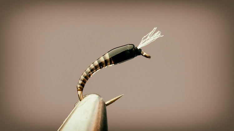 Midge Emerger Fly Tying Patterns -- Our go-to midge emerger patterns
