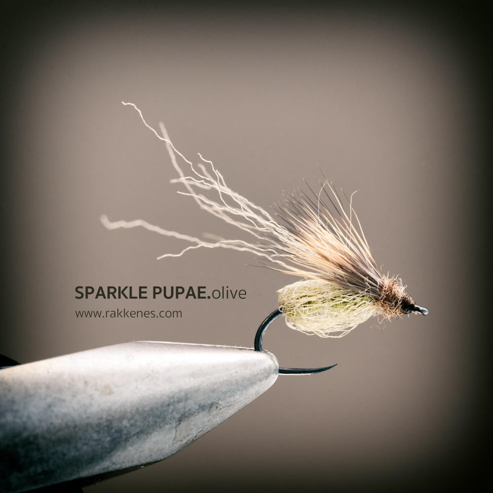 Deep Sparkle Pupa (Caddis Pattern) - Trout Fly Tying for Beginners